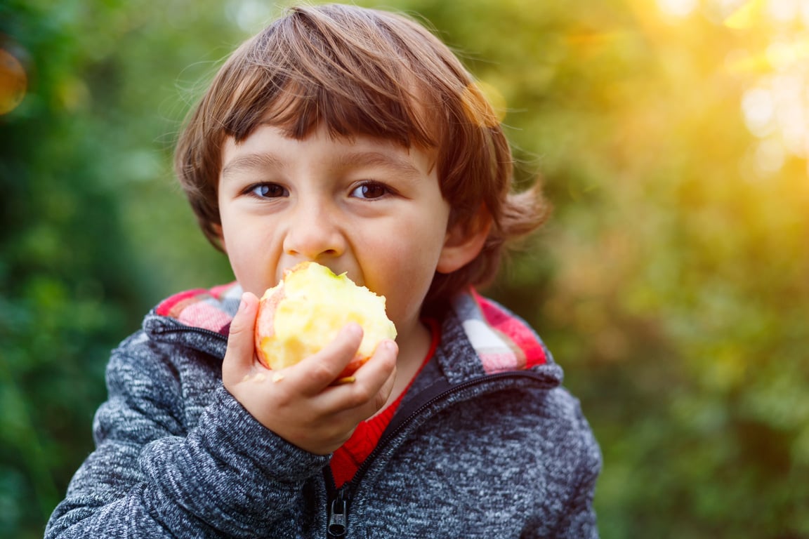 Little Boy Child Kid Eating Apple Fruit Outdoor Autumn Fall Natu